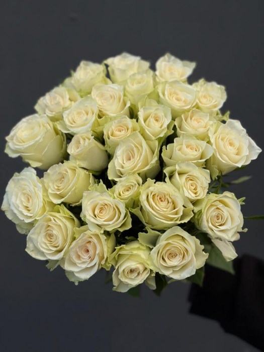 roza40-11